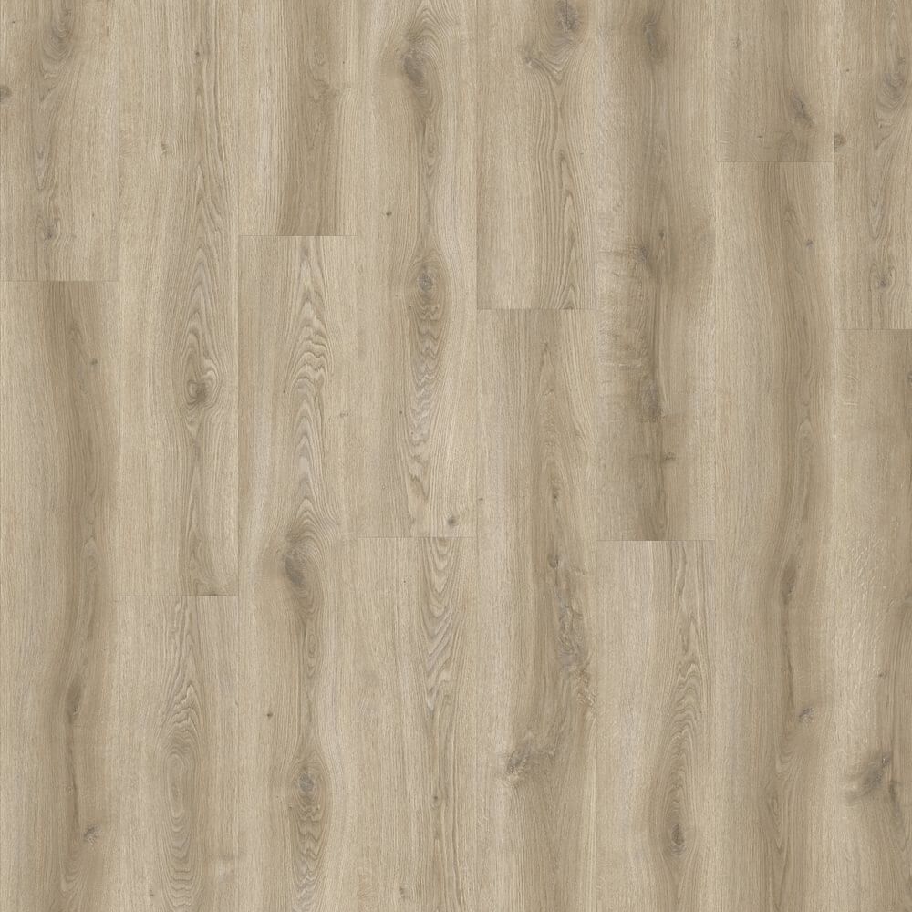 Orla - Bartlett Dryback 